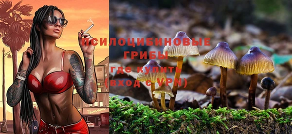 прущая мука Алексин