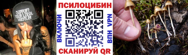 Псилоцибиновые грибы Magic Shrooms Пермь