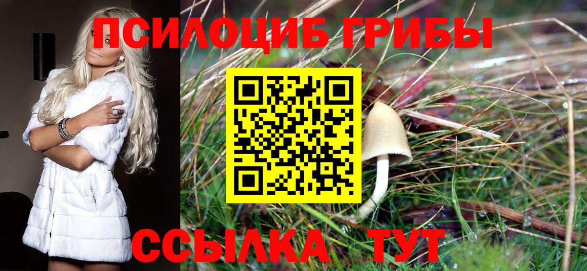 Галлюциногенные грибы Cubensis  Вход с VPN  хочу   Пермь 